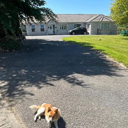 Graiguenamanagh Homestay Exteriér fotografie