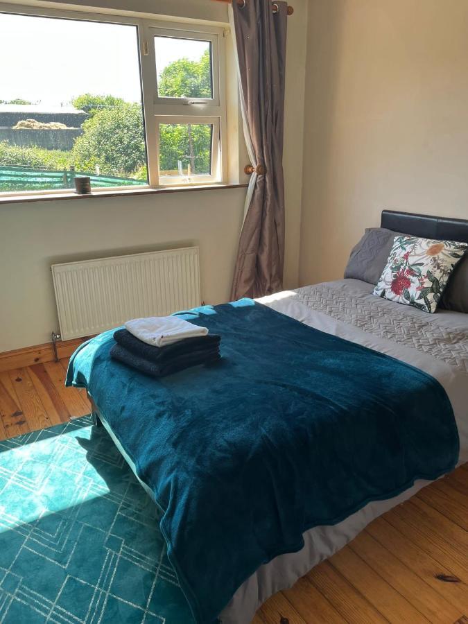 Graiguenamanagh Homestay Exteriér fotografie